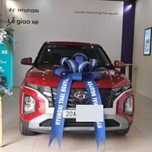 Màu xe Hyundai: cân nhắc nắng nóng, bụi và thời gian chăm xe